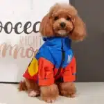 Veste d'hiver pour chien, polaire épaisse, vêtements chauds pour chiens, imperméable, bouledogue français, manteau pour chiot, coupe-vent, vêtements pour grands chiens 1