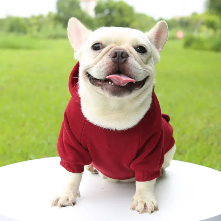 Vêtements d'hiver pour petits chiens, manteau à capuche pour chiot et chat, veste bouledogue français, Chihuahua Yorkie, Costume carlin, fournitures pour animaux de compagnie 24