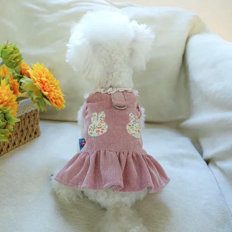 2025 nouveau printemps été chien robe chat princesse robe mignonne jupe petit chien chat mariage mode jupe chiot vêtements Costume pour animaux de compagnie 5