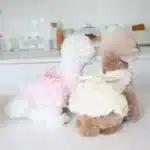 Printemps/été 3D Rose robe mignon arc vêtements pour animaux de compagnie chat et chien vêtements accessoires pour animaux de compagnie Teddy vêtements chiens robes pour petits chiens 4