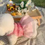 Robe princesse en dentelle rose pour petits chiens, vêtements d'été pour chiots, robe de mariée pour chien, jupe pour Chihuahua, PDPDog 2