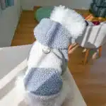 Pull à capuche en polaire berbère pour chiot, avec boucle, vêtements chauds d'hiver pour animaux de compagnie, pour petits chiens, poméranien, Yorkie, mascotas 5