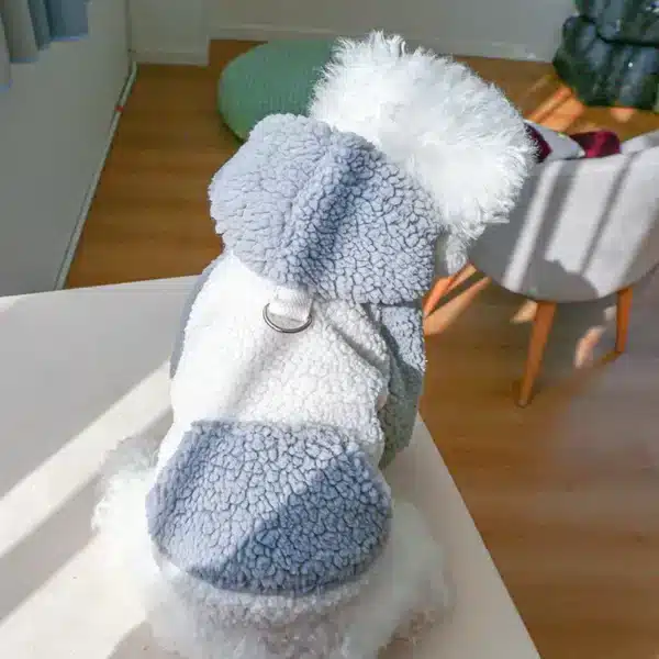 Pull à capuche en polaire berbère pour chiot, avec boucle, vêtements chauds d'hiver pour animaux de compagnie, pour petits chiens, poméranien, Yorkie, mascotas 5