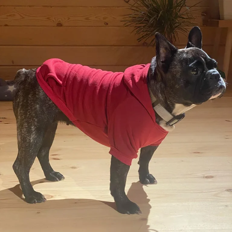Vêtements d'hiver pour petits chiens, manteau à capuche pour chiot et chat, veste bouledogue français, Chihuahua Yorkie, Costume carlin, fournitures pour animaux de compagnie 4