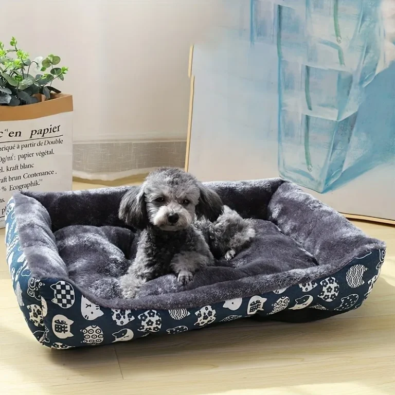 Panier avec motif pour petit chien 4