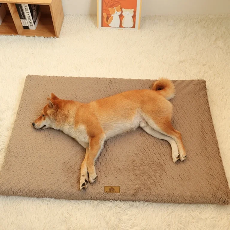 Lit orthopédique imperméable pour petit chien 2