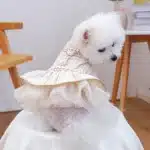 Robe en laine pour animaux de compagnie, vêtements pour chiens et chats, vêtements d'automne et d'hiver pour petits chiens, vêtements pour chiots 3