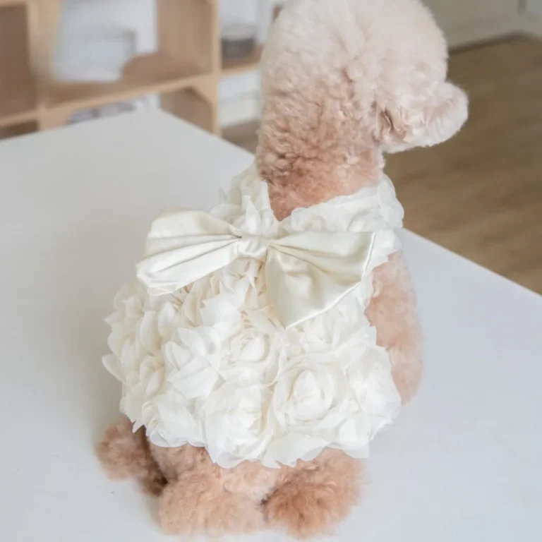 Printemps/été 3D Rose robe mignon arc vêtements pour animaux de compagnie chat et chien vêtements accessoires pour animaux de compagnie Teddy vêtements chiens robes pour petits chiens 3