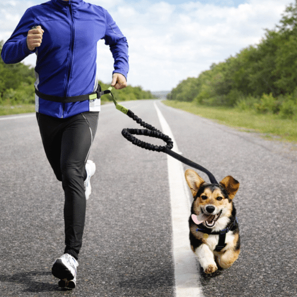 Laisse pour chien mains libre