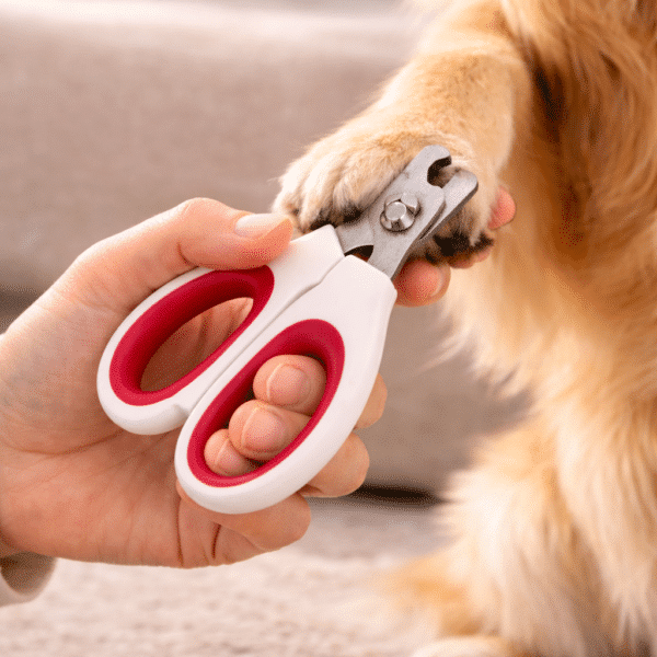 Coupe Griffe ergonomique chien