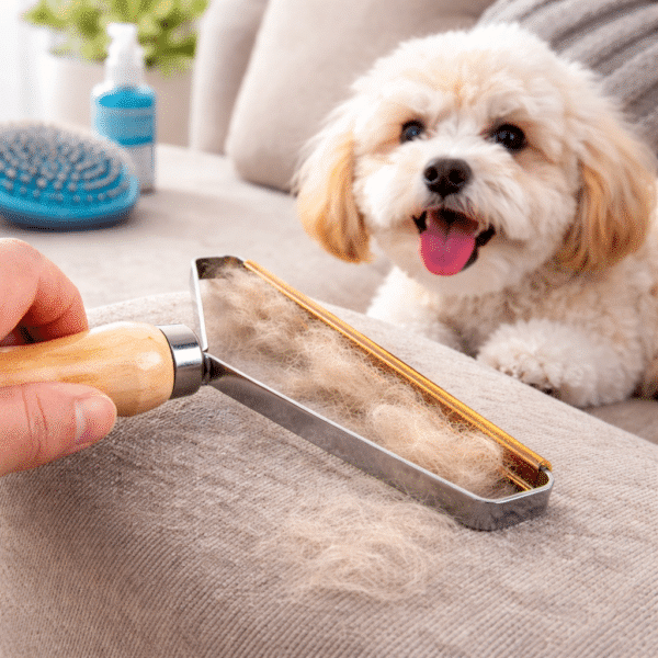 Brosse pour enlever les poils