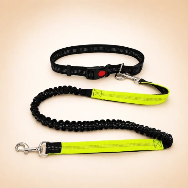 Laisse pour chien mains libre