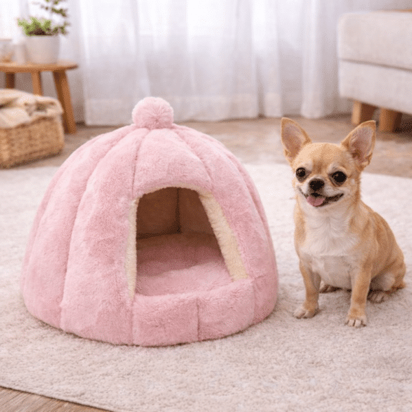 Panier en forme d'igloo pour chihuahua