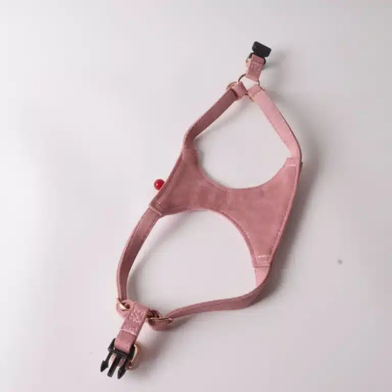 Harnais cuir cerise petit chien 6