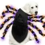 Costume halloween arraignée lumineux chien 4