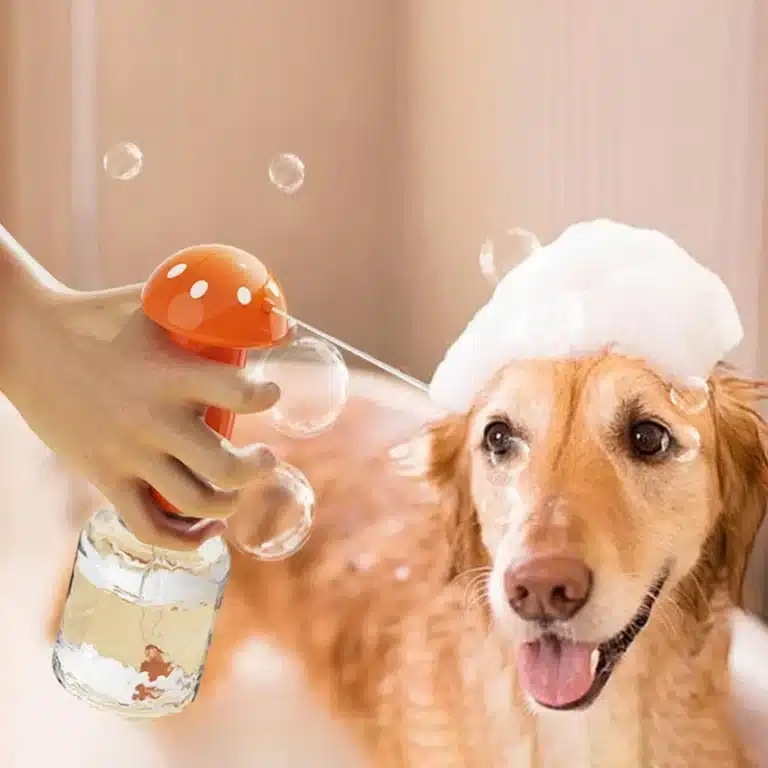 Distributeur automatique mousse chien 2