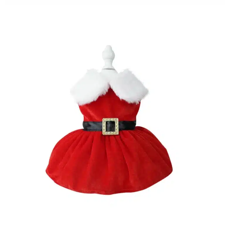 Robe de Noël petit chien 6