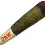 Jouet indestructible interactif chien 11