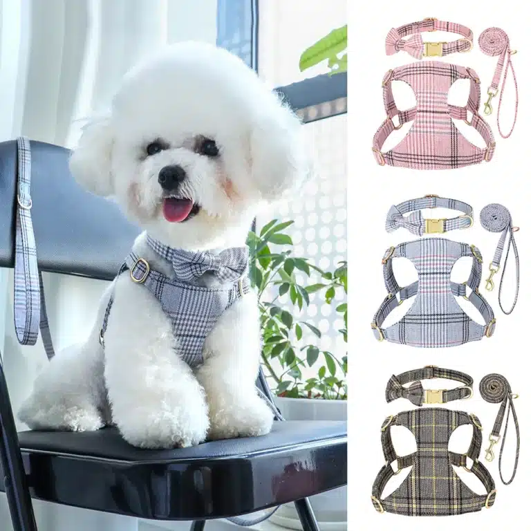 Ensemble harnais et laisse en nylon chien 2