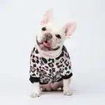 Bomber leopard pour chien 6