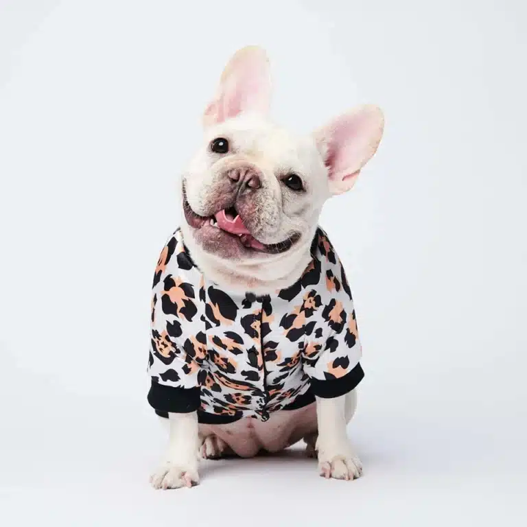 Bomber leopard pour chien 6