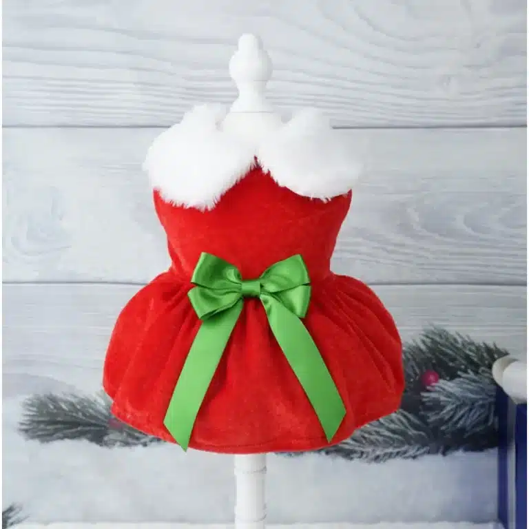 Robe de Noël petit chien 5