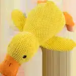 Canard apaisant chien 6