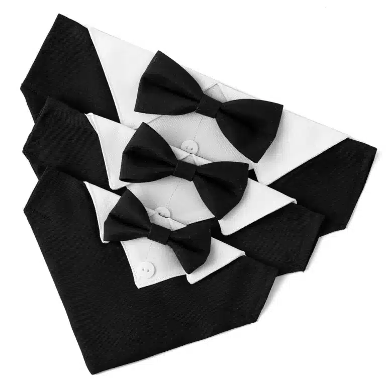 Collier costume chien 23