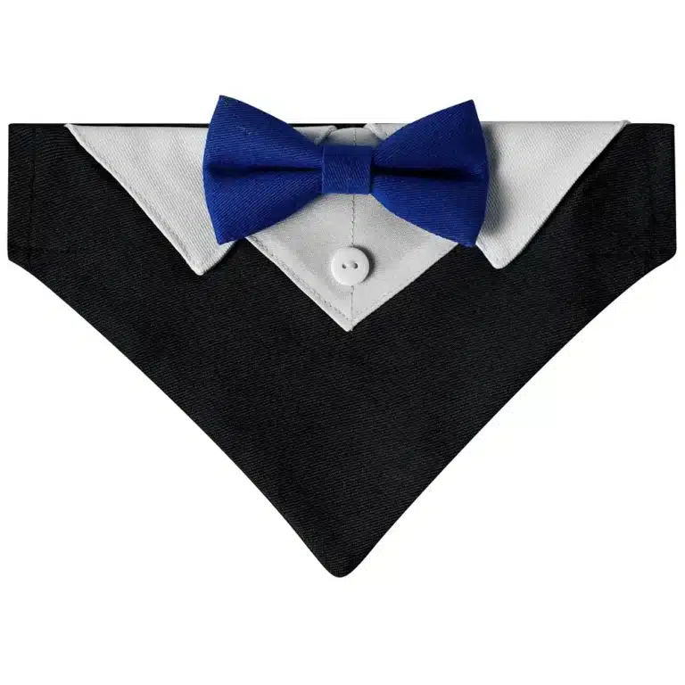 Collier costume chien 28