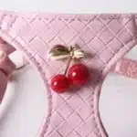 Harnais cuir cerise petit chien 5