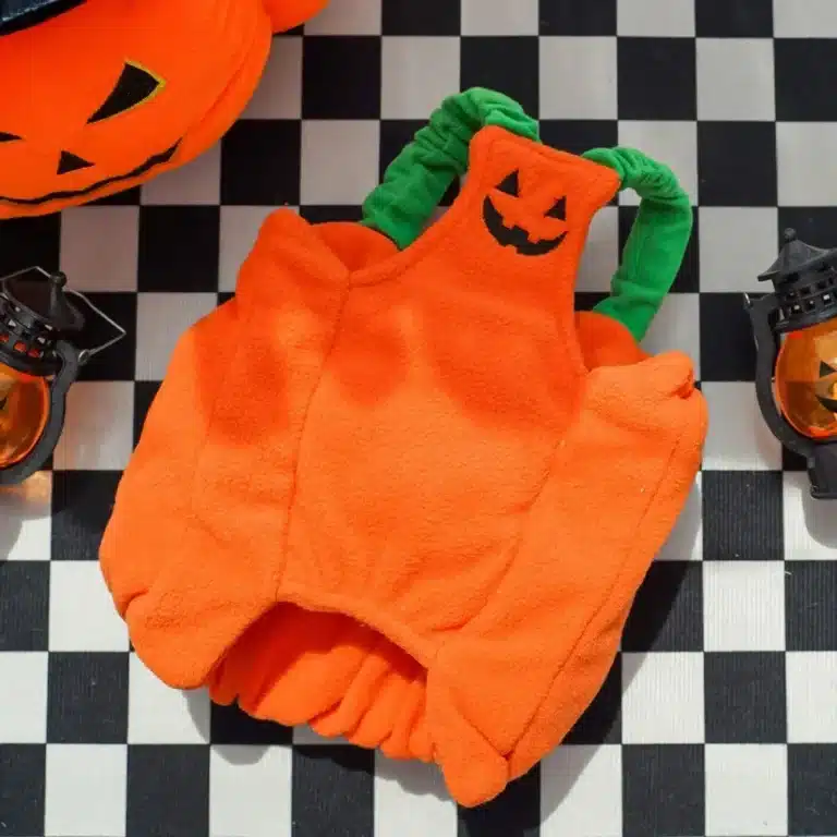 Costume citrouille chien 23
