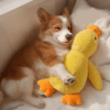 Canard apaisant chien​