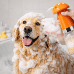 ChatGPT Image 12 mars 2026, 12_02_34