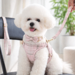 ChatGPT Image 4 févr. 2026, 22_16_59