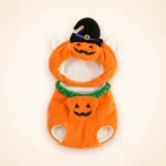 Costume citrouille chien
