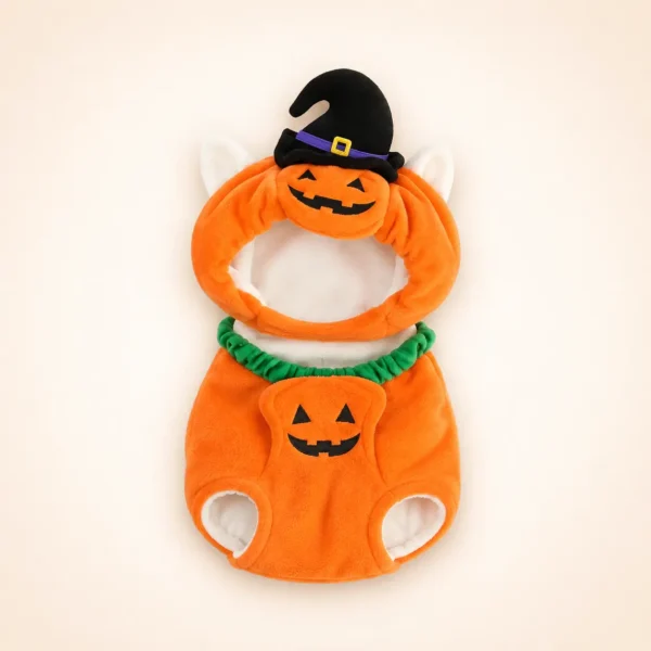 Costume citrouille chien