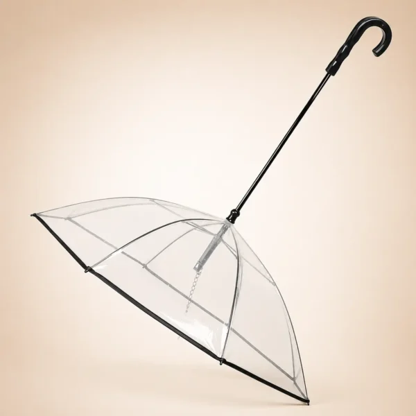 Parapluie pour chien avec laisse