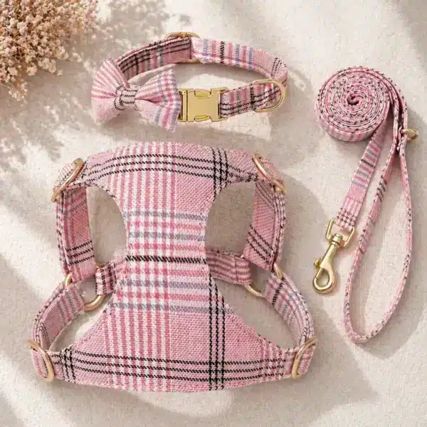 Ensemble harnais, collier et laisse en nylon chien