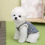 Gilet à fleurs en pilou pour chien 3