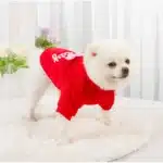 Pull à capuche little beauty chihuahua 16