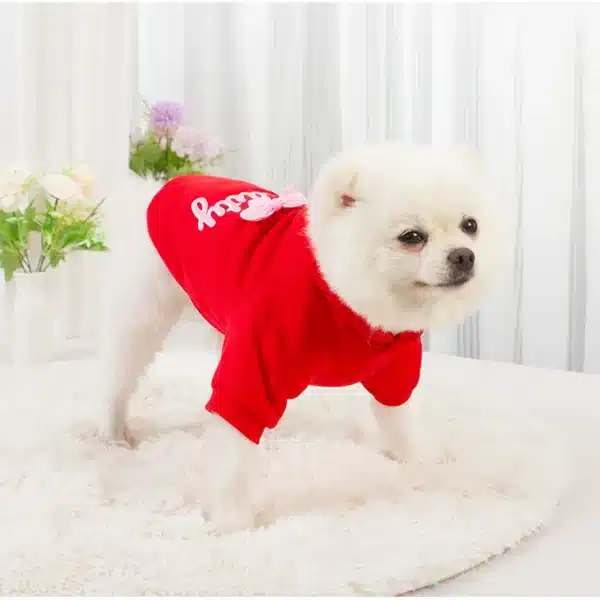 Pull à capuche little beauty chihuahua 16