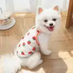 Tee shirt transparent petit chien 27