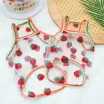 Tee shirt transparent petit chien 4