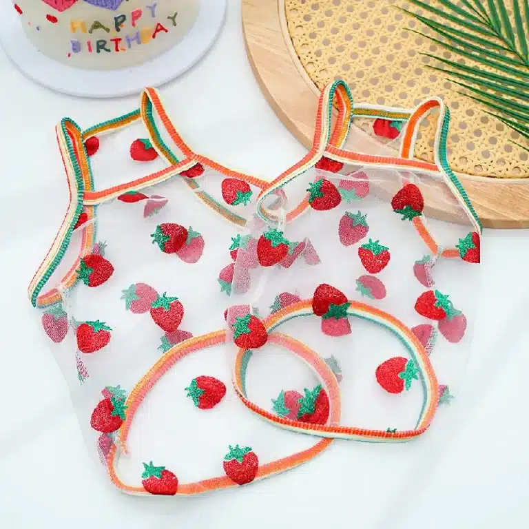 Tee shirt transparent petit chien 4