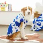 Pull en polaire pour berger 3