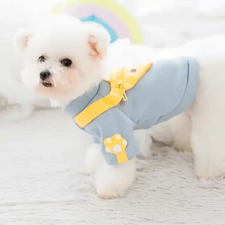 Pull avec sac banane pour petit chien 4