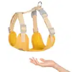 Harnais et laisse pour jack russel respirant 22