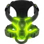 Harnais lumineux pour chien 1