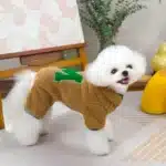 Pyjama pilou chihuahua 5