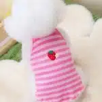 Débardeur fraise pour chihuahua 7